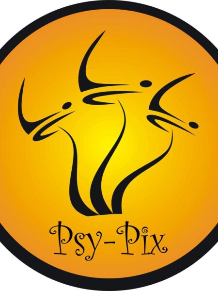 Psy-Pix